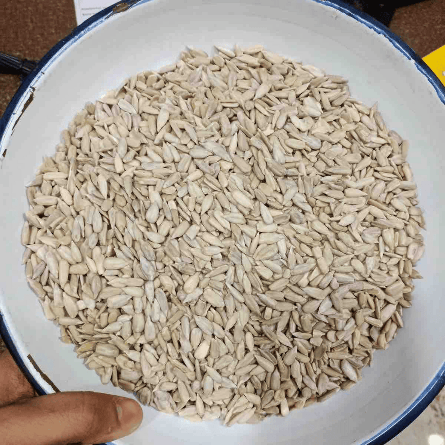 SUNFLOWER SEEDS