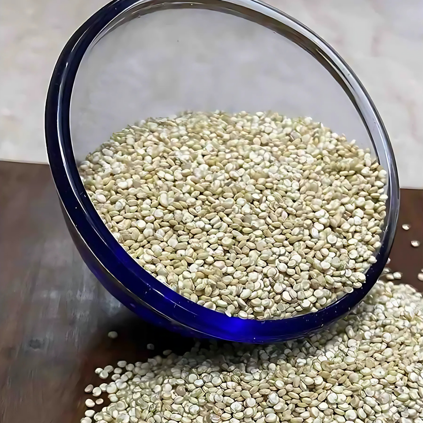 QUINOA SEEDS