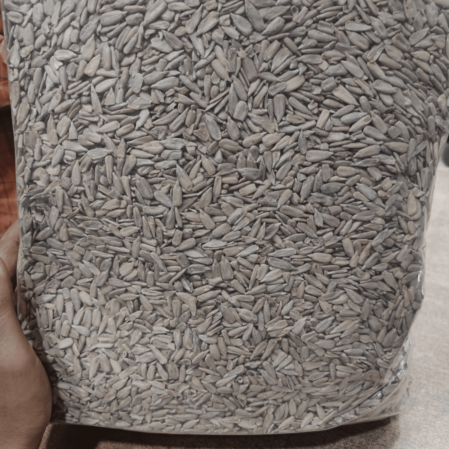 SUNFLOWER SEEDS