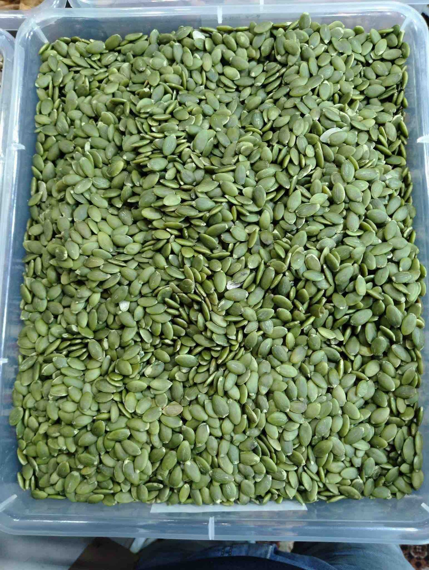 PUMPKIN SEEDS
